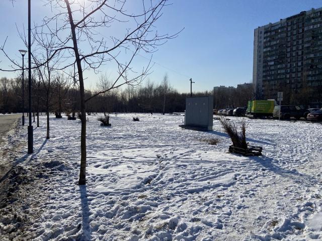 Лот 4026502